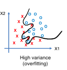 Low Bias High Variance